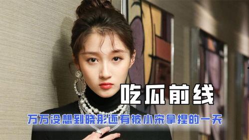 关于娱乐圈吃瓜的小说